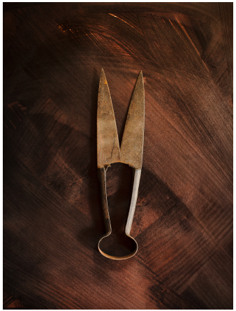 Des ciseaux à laine