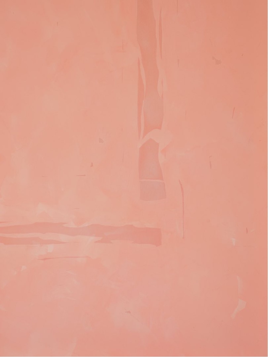 Transendencia - coral 