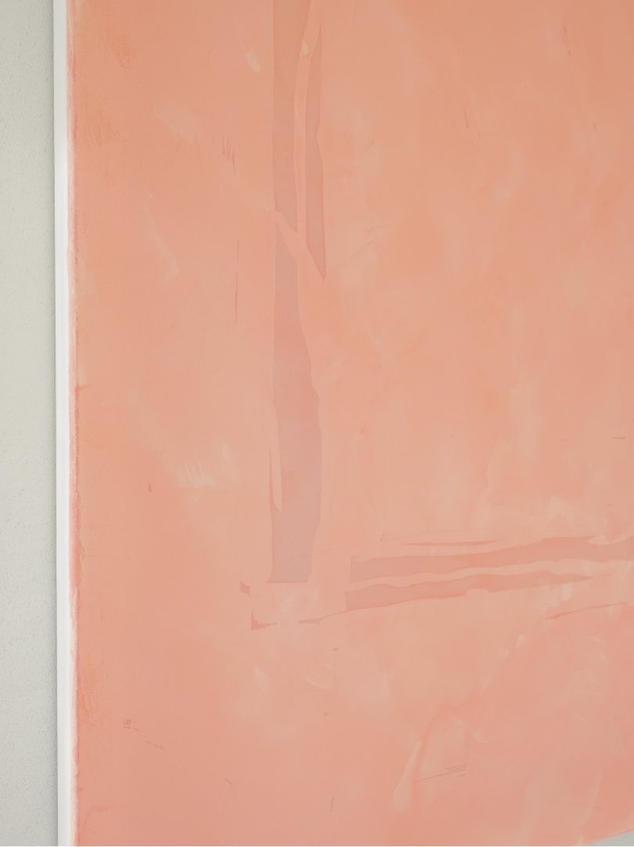 Transendencia - coral 