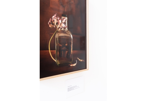 Les joueurs de cartes