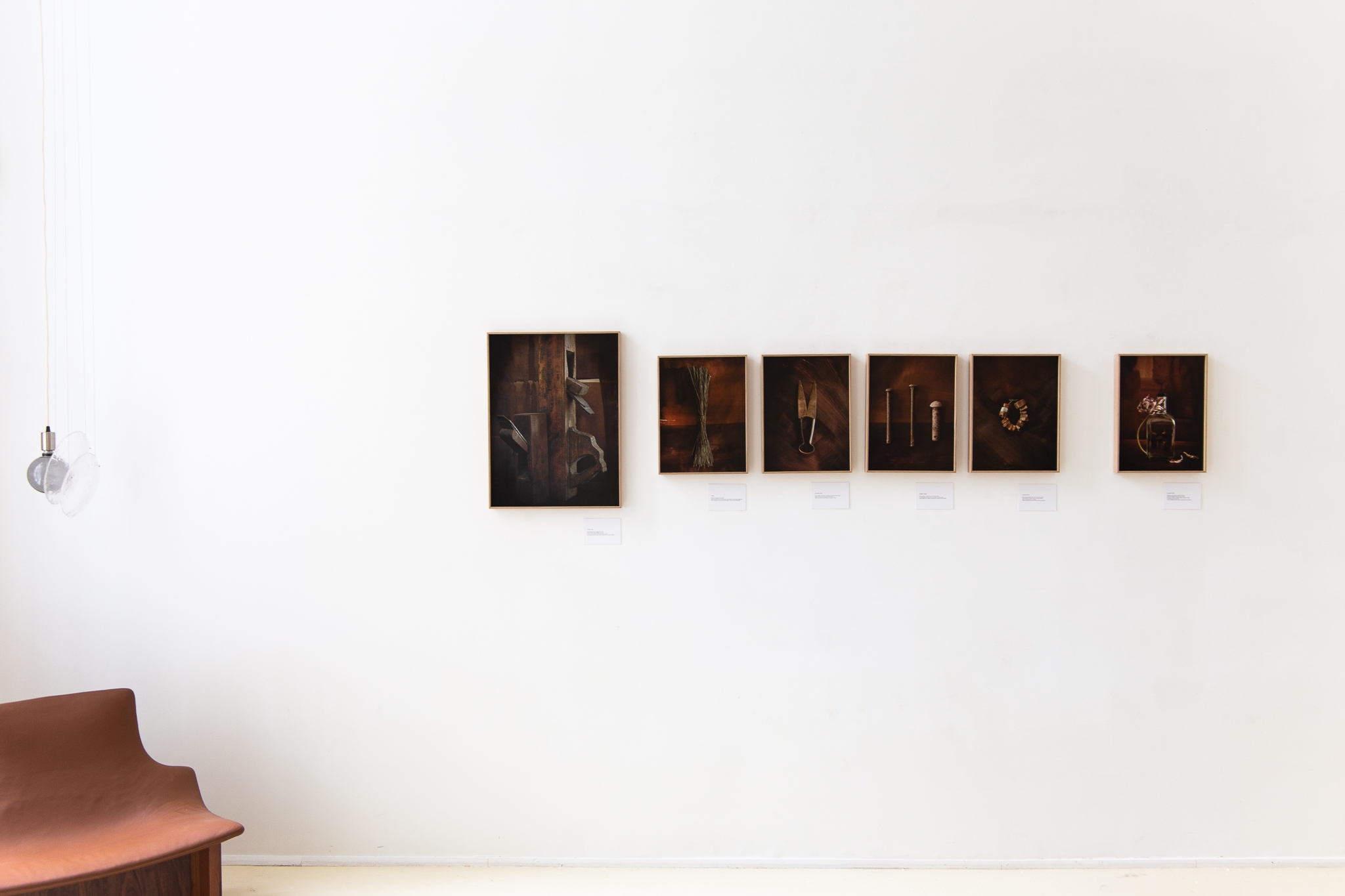 Des ciseaux à laine