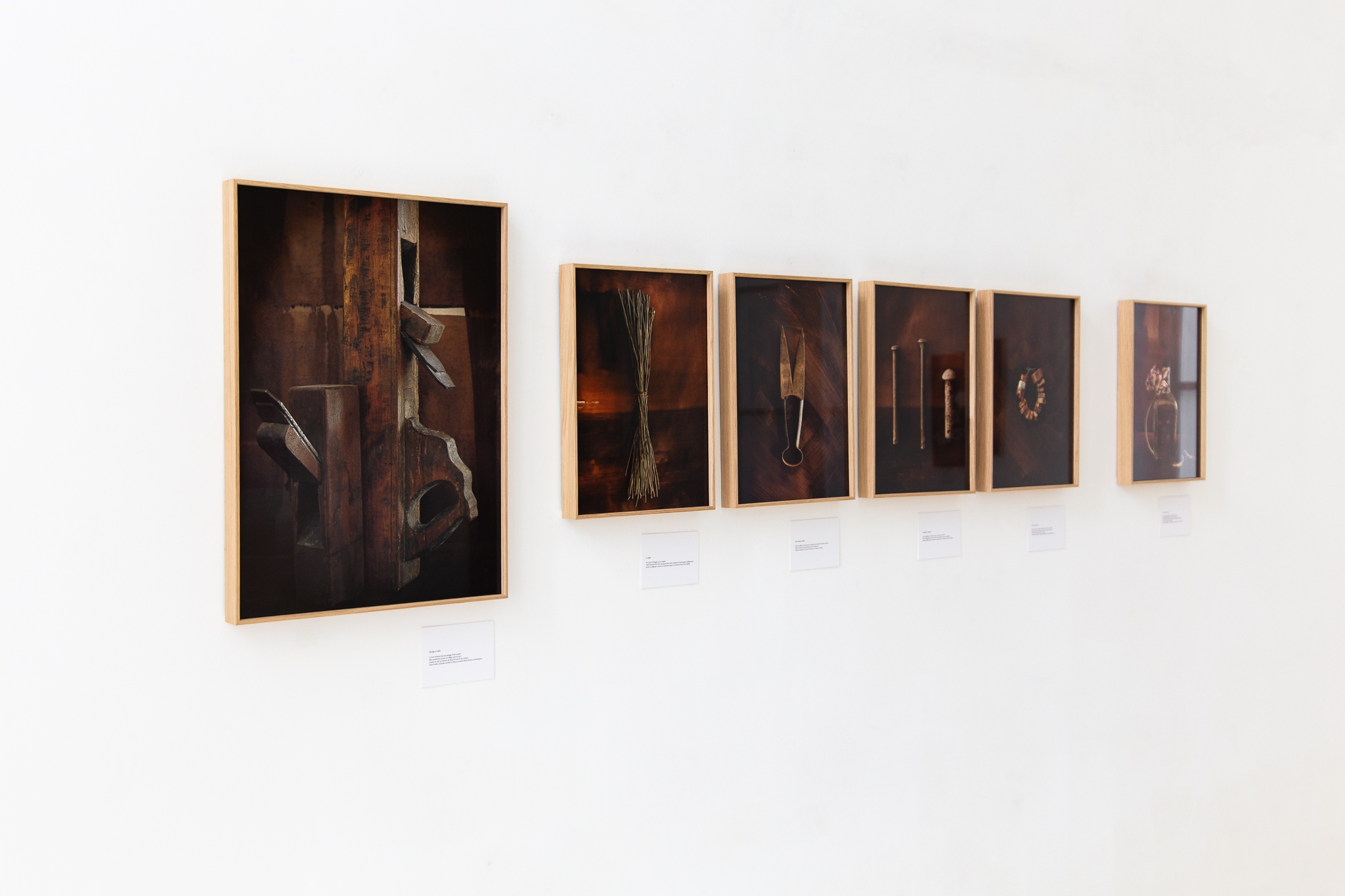 Des ciseaux à laine