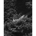 Escalier Scpo Photograph Bertrand Clech Zeuxis