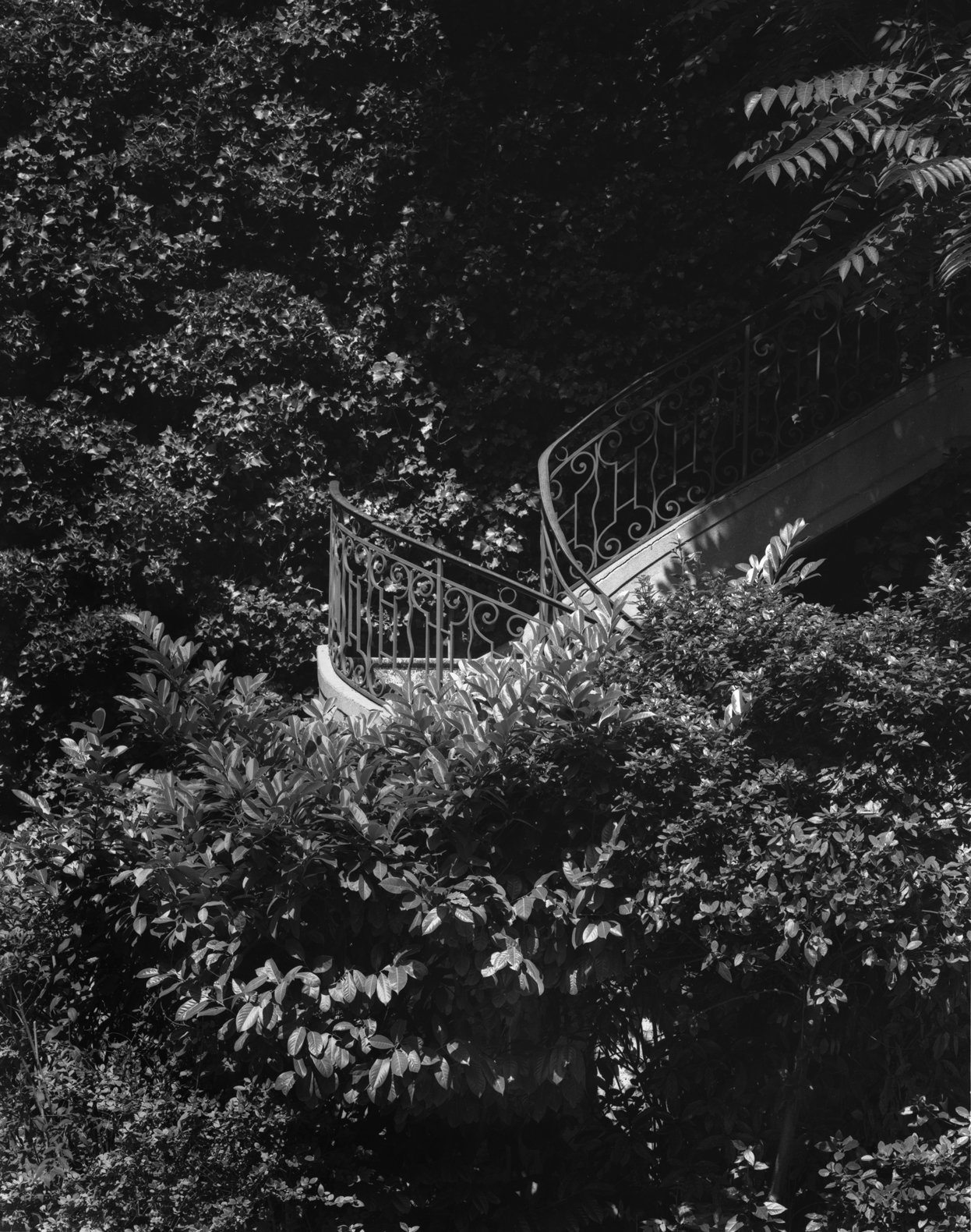 Escalier Scpo Photograph Bertrand Clech Zeuxis