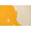 Summer Studio Cadmium Yellow