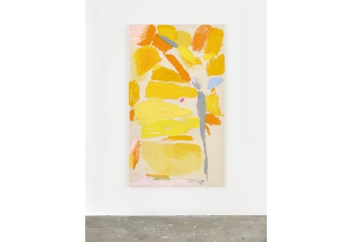 Yellow Mellow Stepping Stones