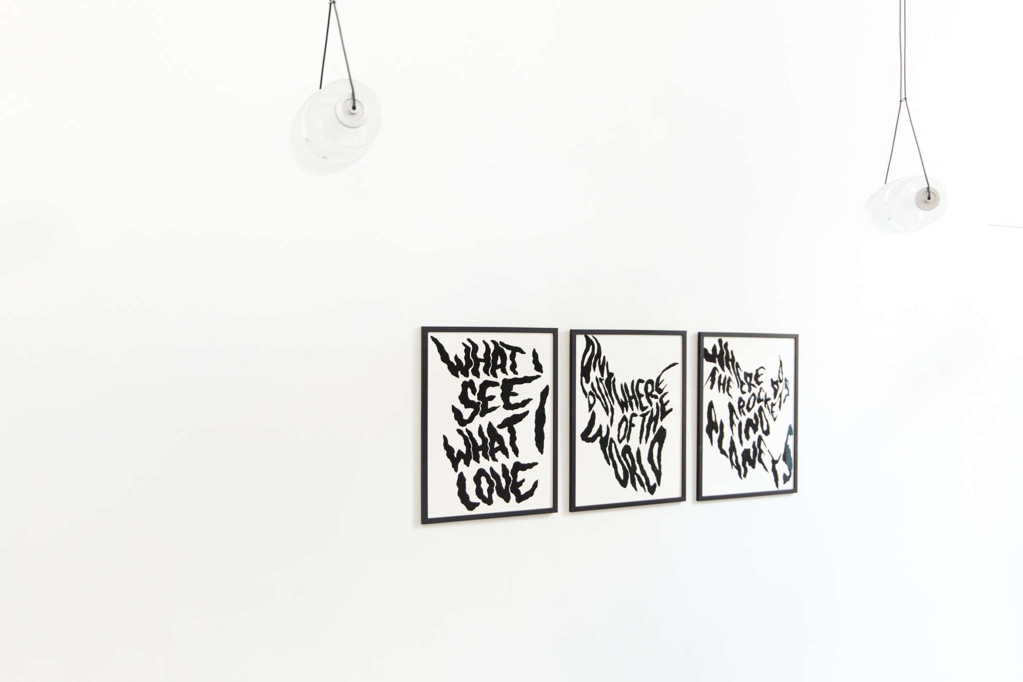 What I see what I love