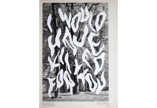 I would have killed for you