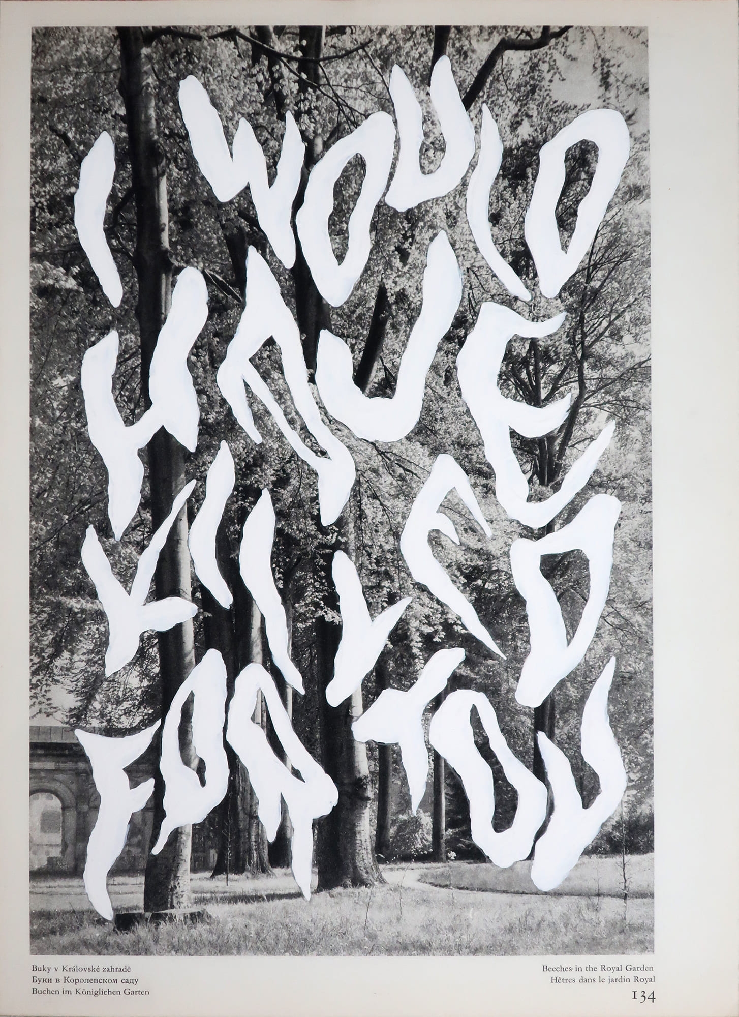 I would have killed for you