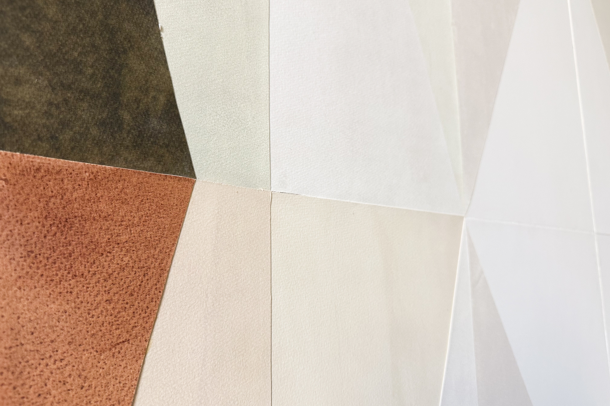 Stars wrapped in skin II