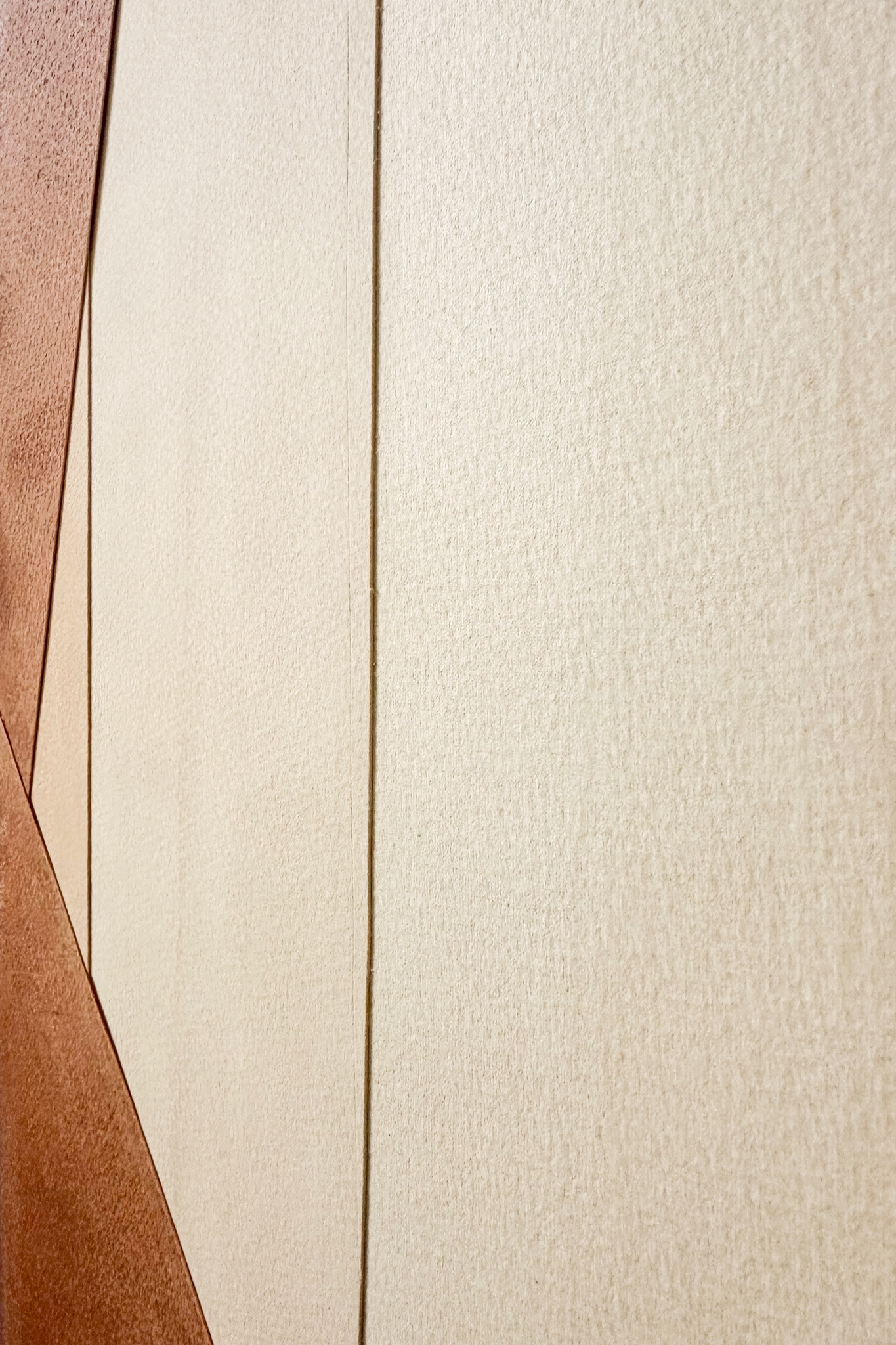 Stars wrapped in skin II