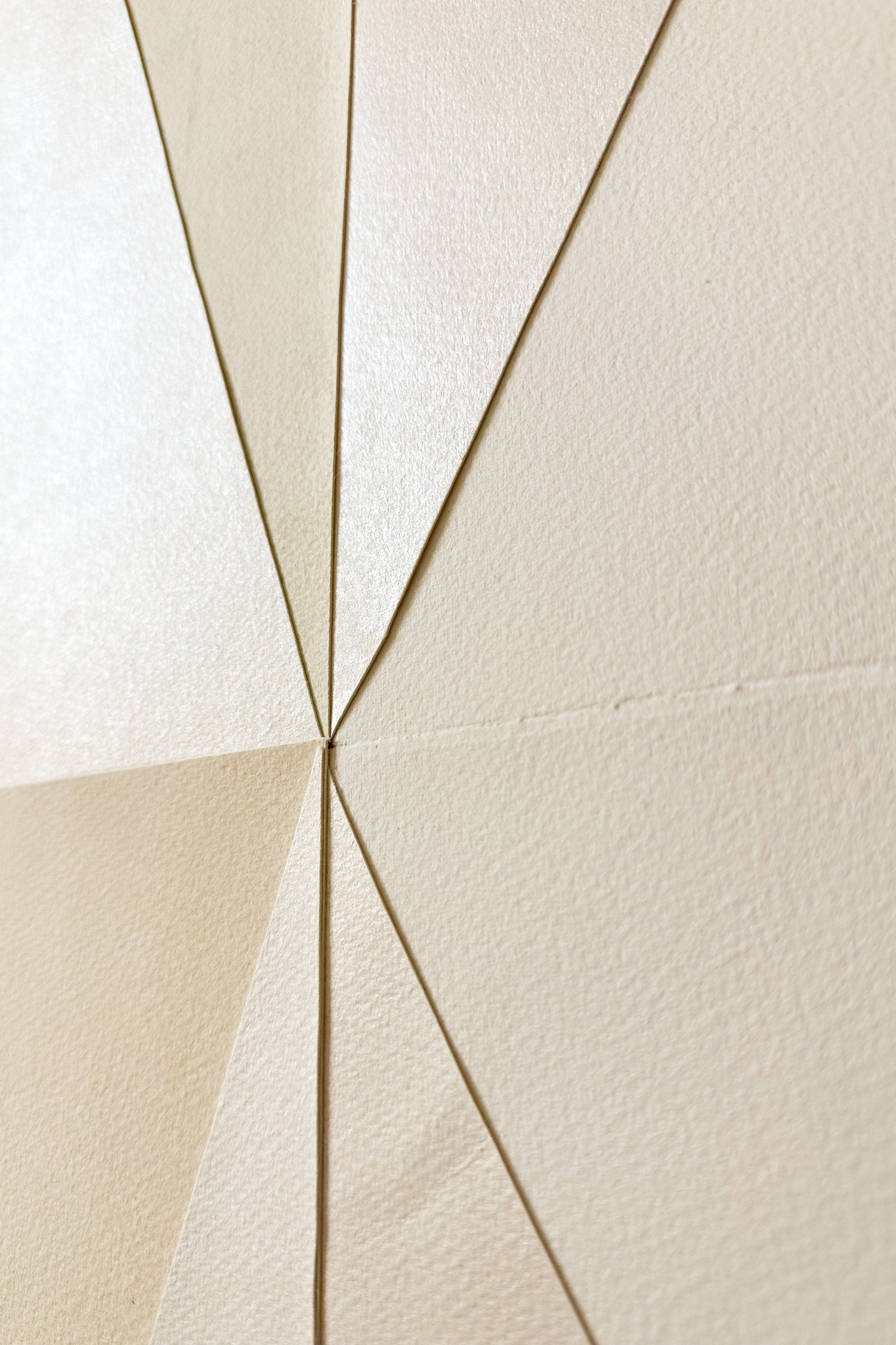 Stars wrapped in skin II