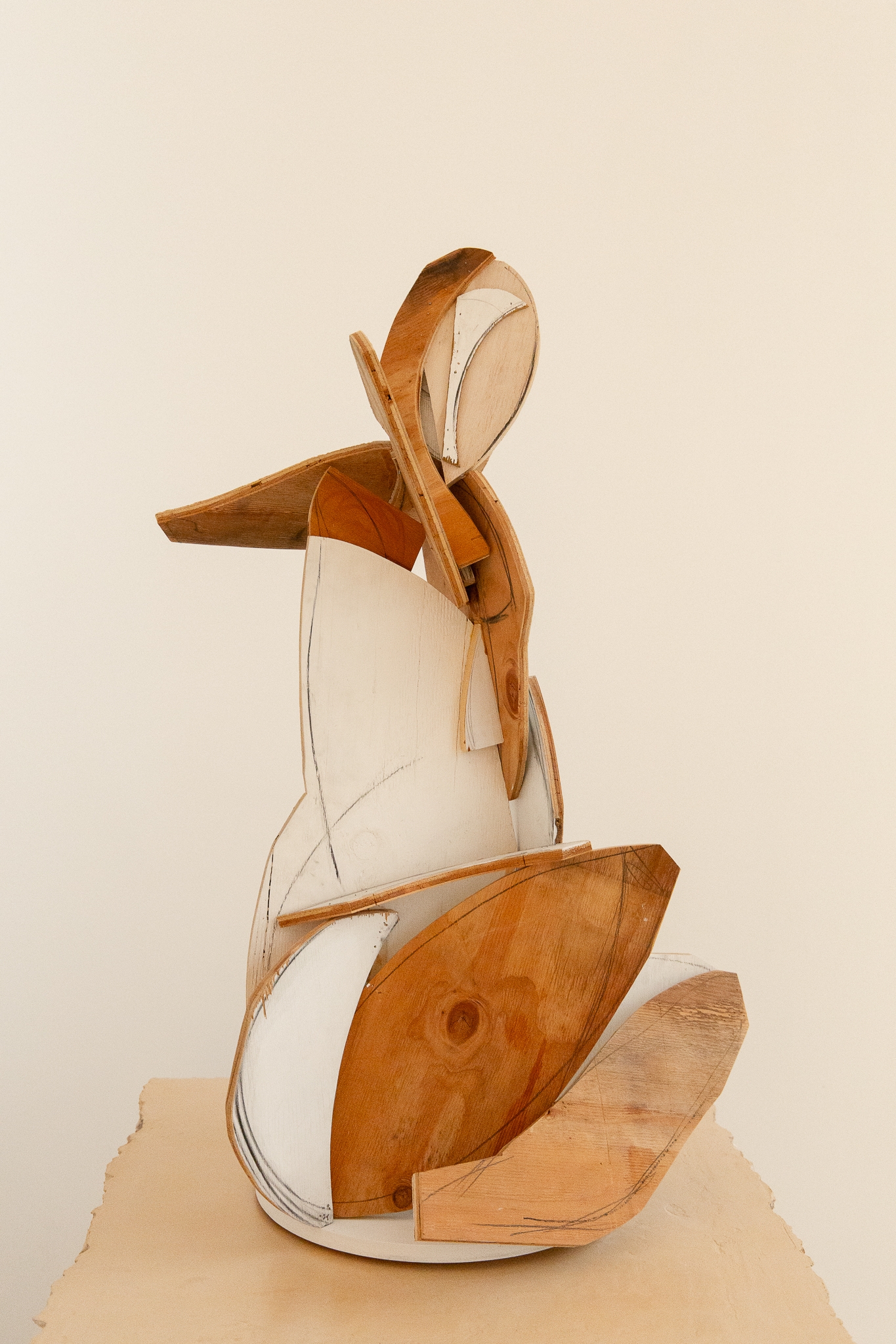 Folded Female Woman Seated V