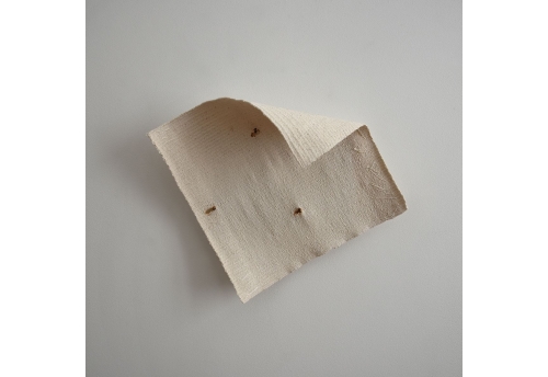 Clous et Boutonnières 2