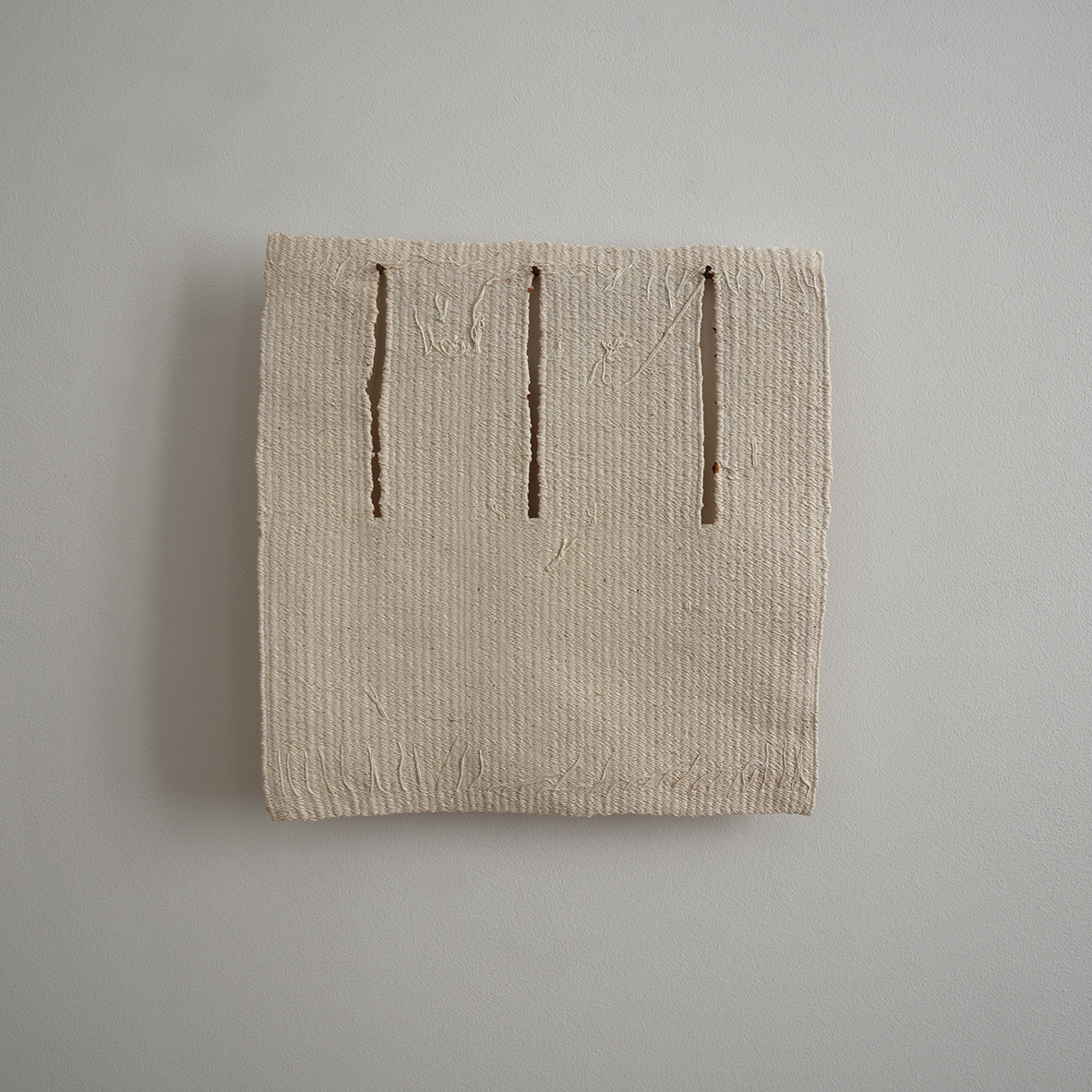 Clous et Boutonnières 3