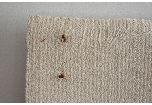 Clous et Boutonnières 5