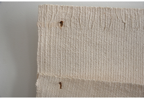 Clous et Boutonnières 7