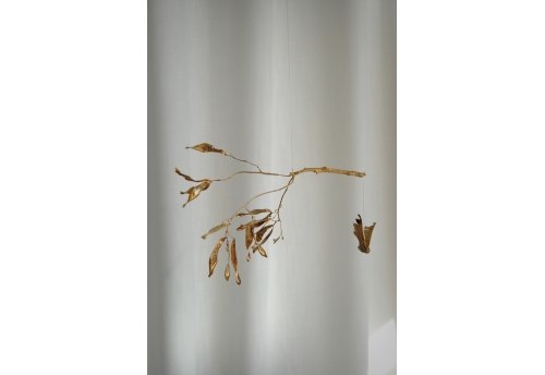 The claw that reaches for flight