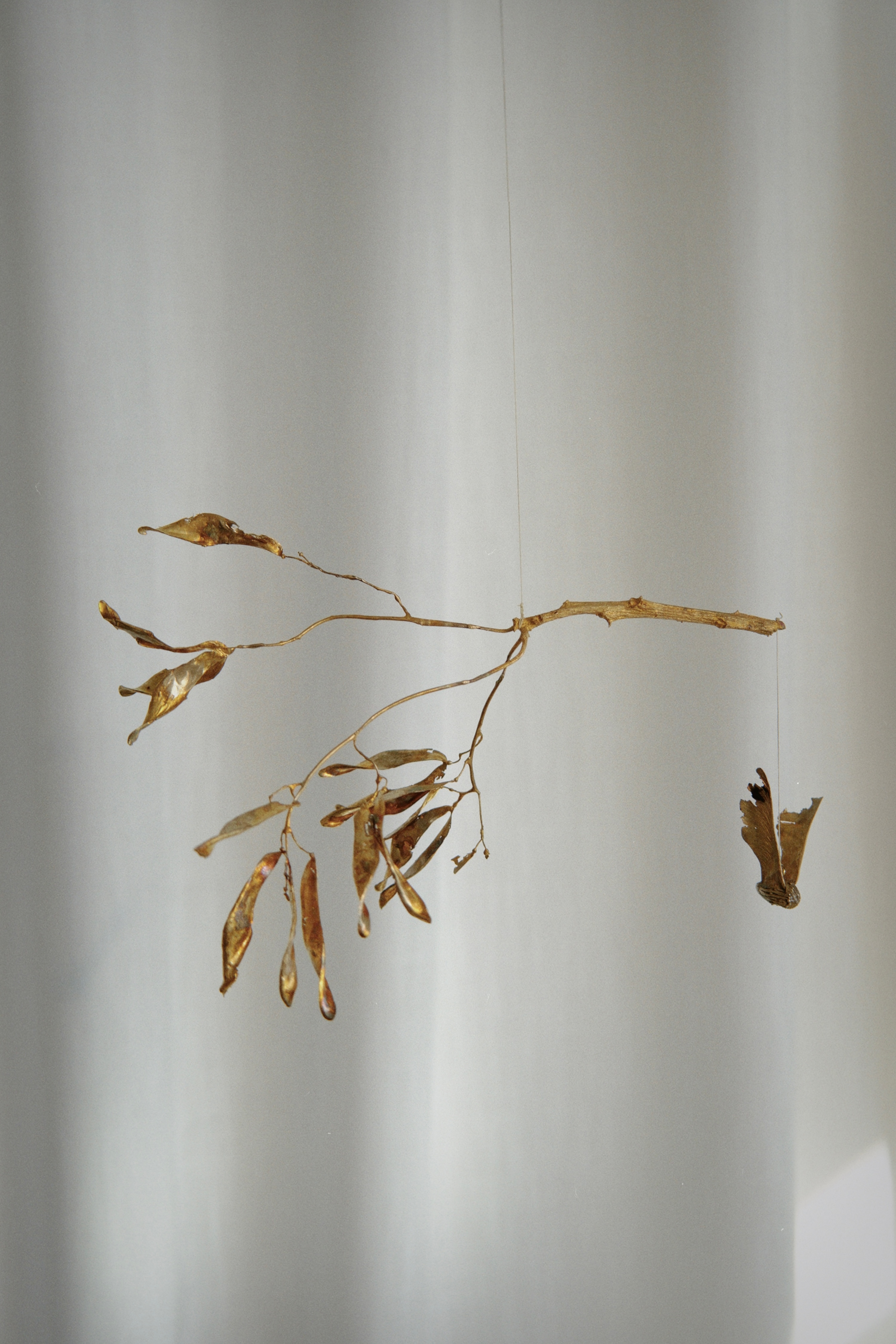 The claw that reaches for flight