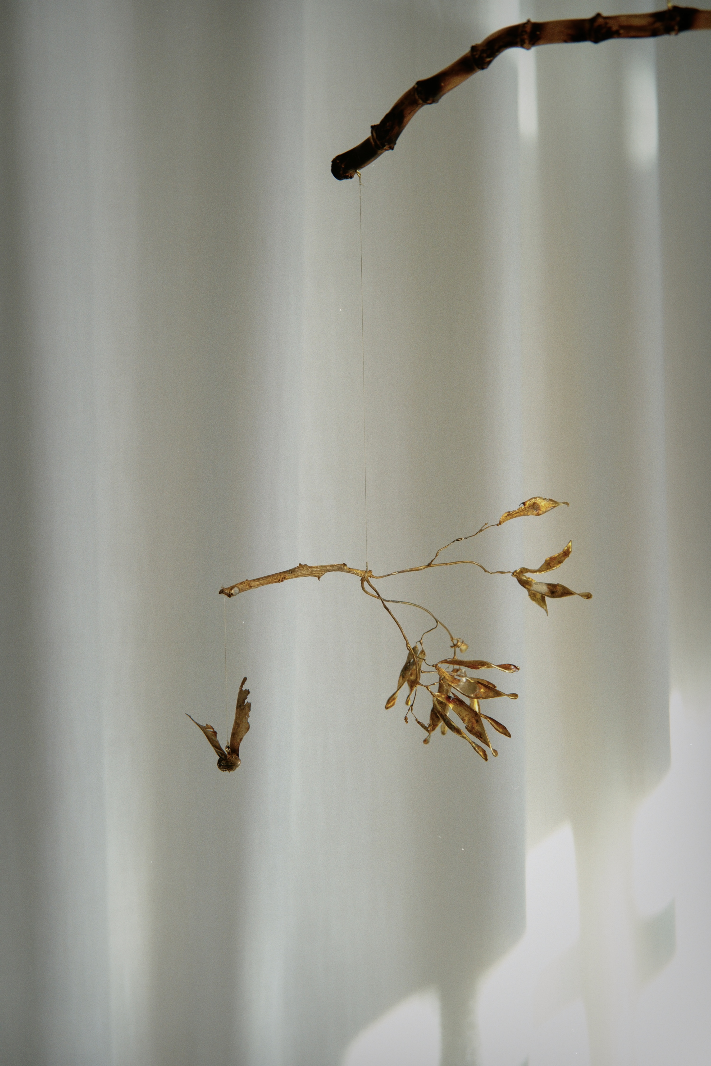 The claw that reaches for flight