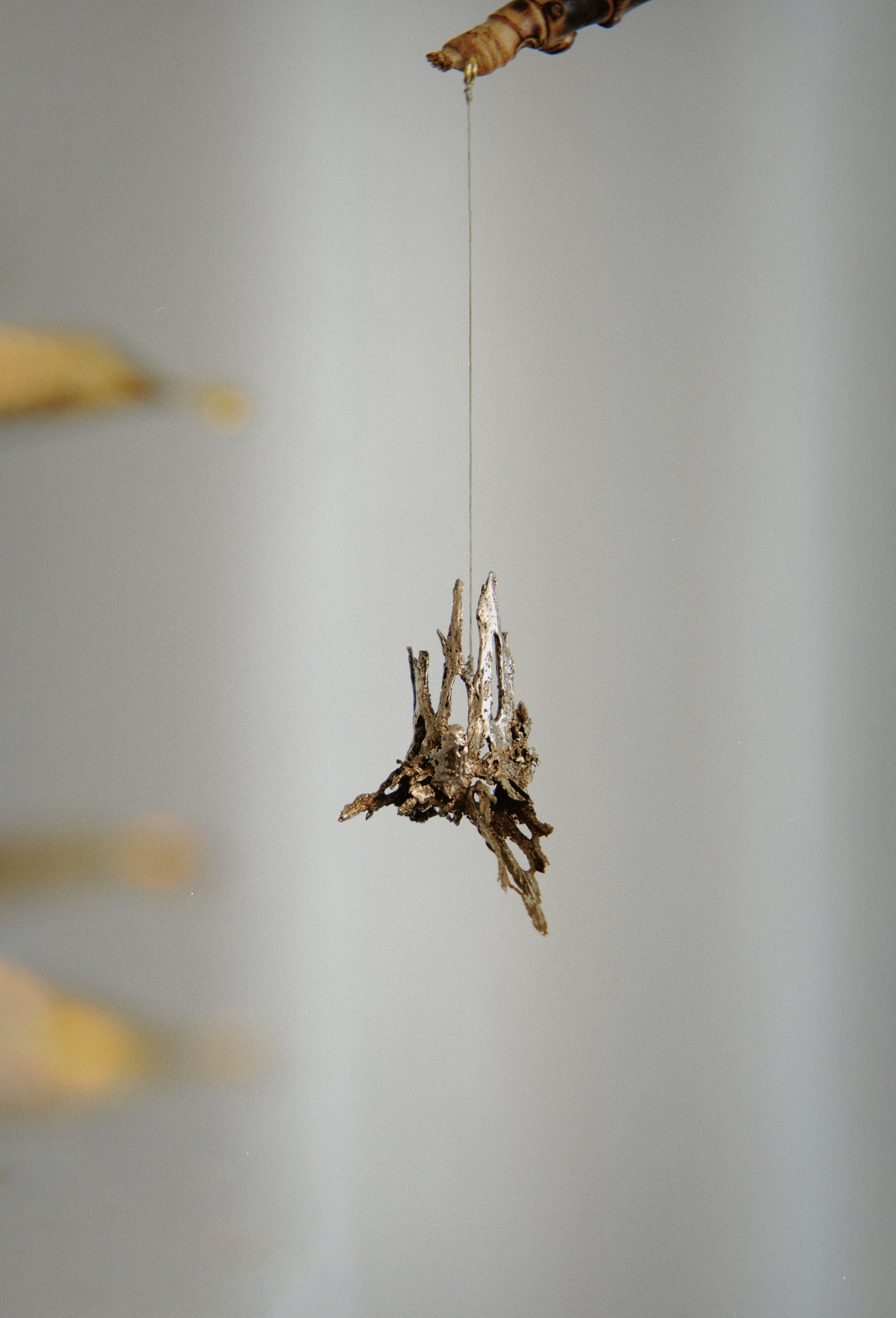 The claw that reaches for flight