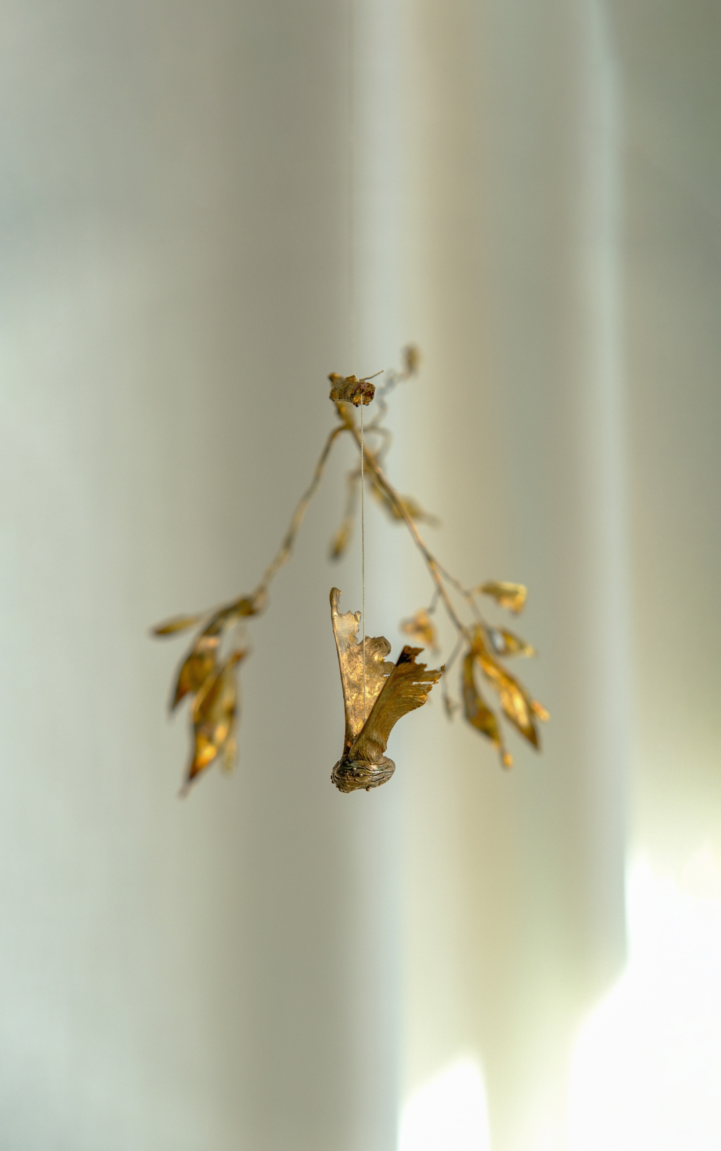 The claw that reaches for flight