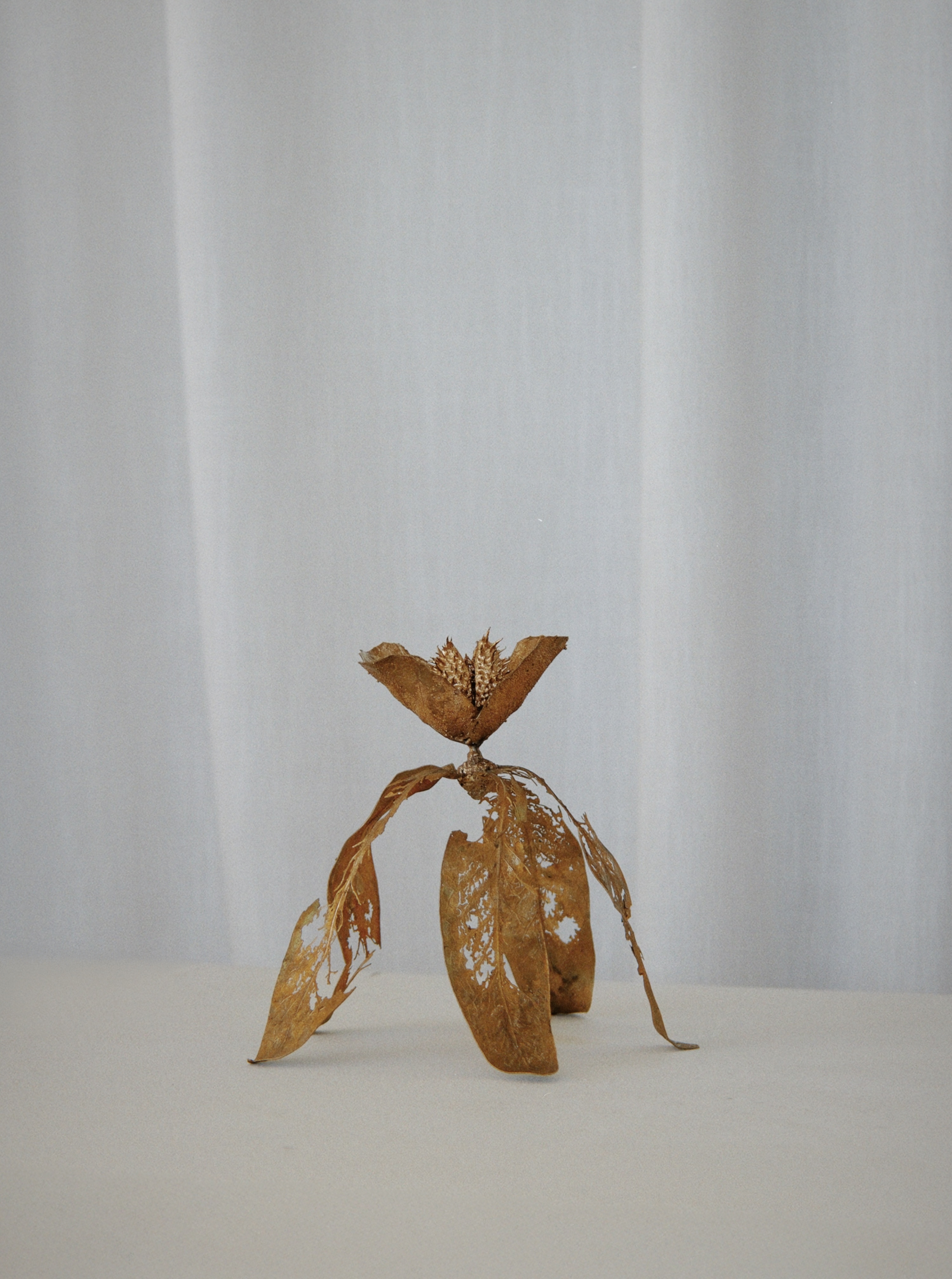 I live to overturn the imbalance