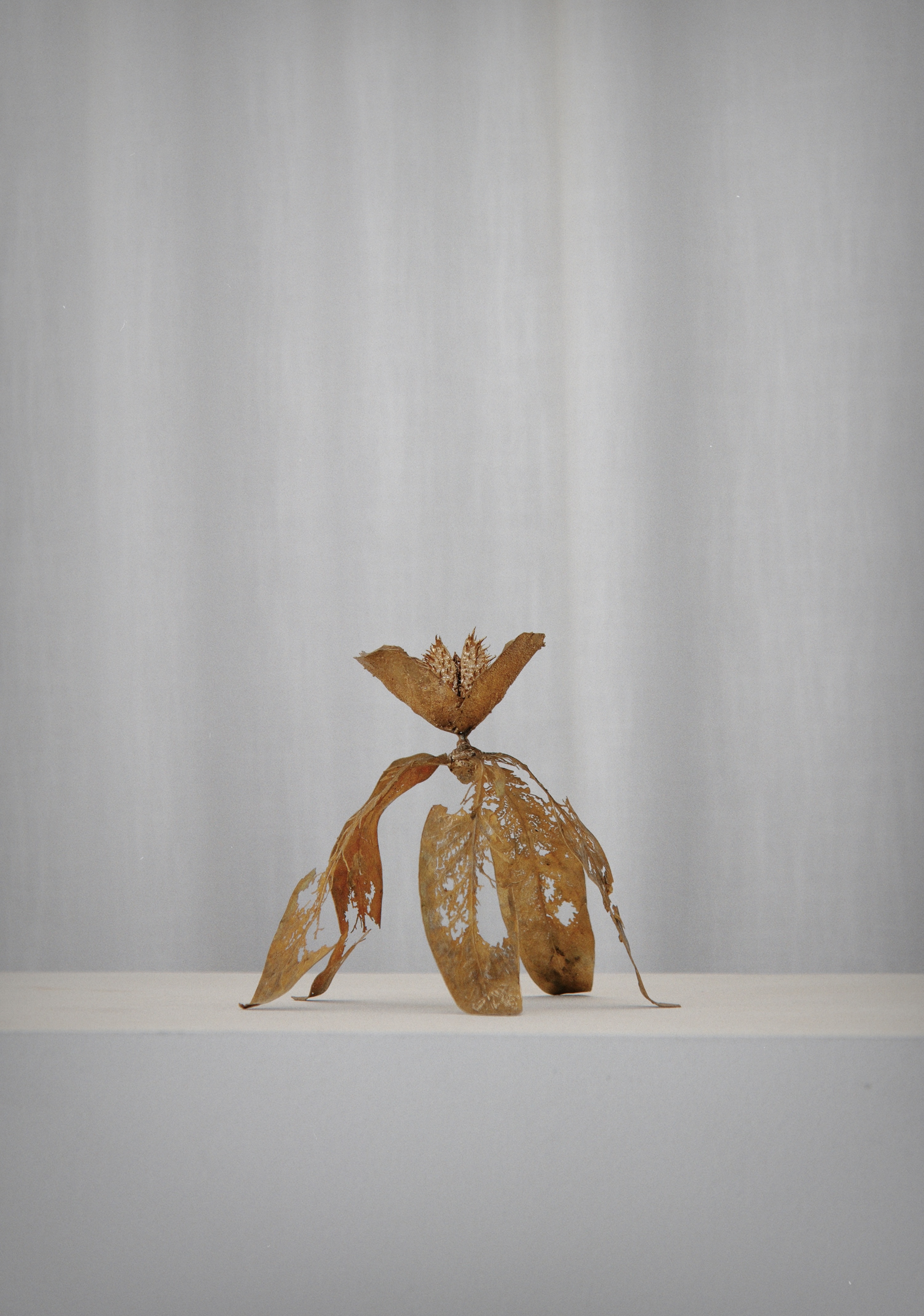 I live to overturn the imbalance