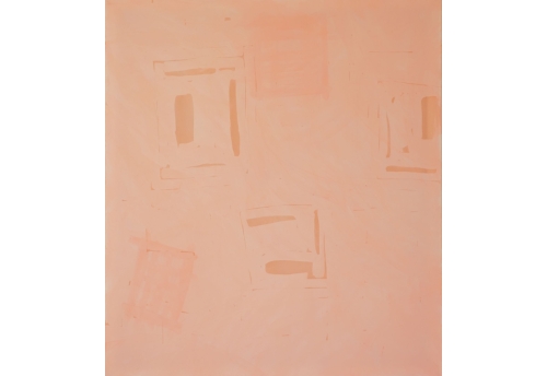 Transcendencia - coral over rose