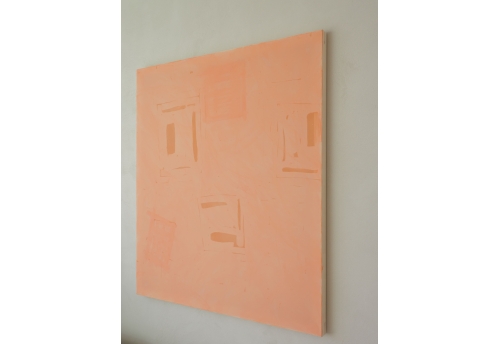 Transcendencia - coral over rose