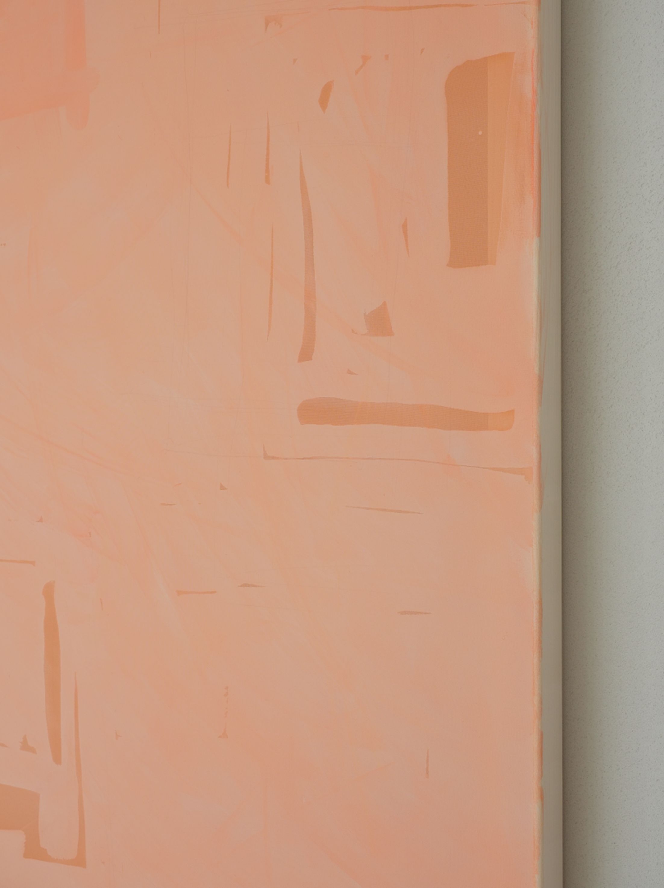 Transcendencia - coral over rose