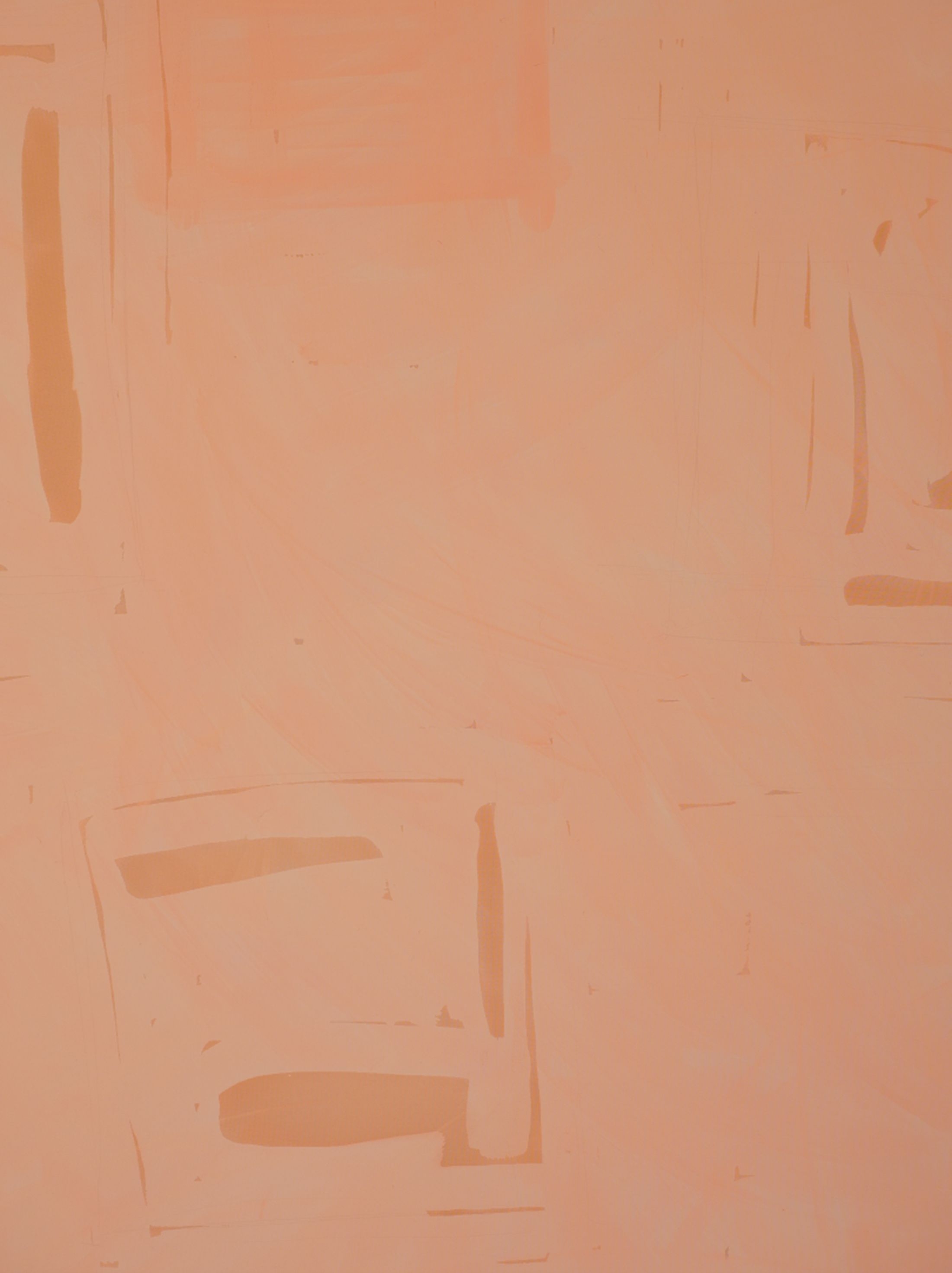 Transcendencia - coral over rose