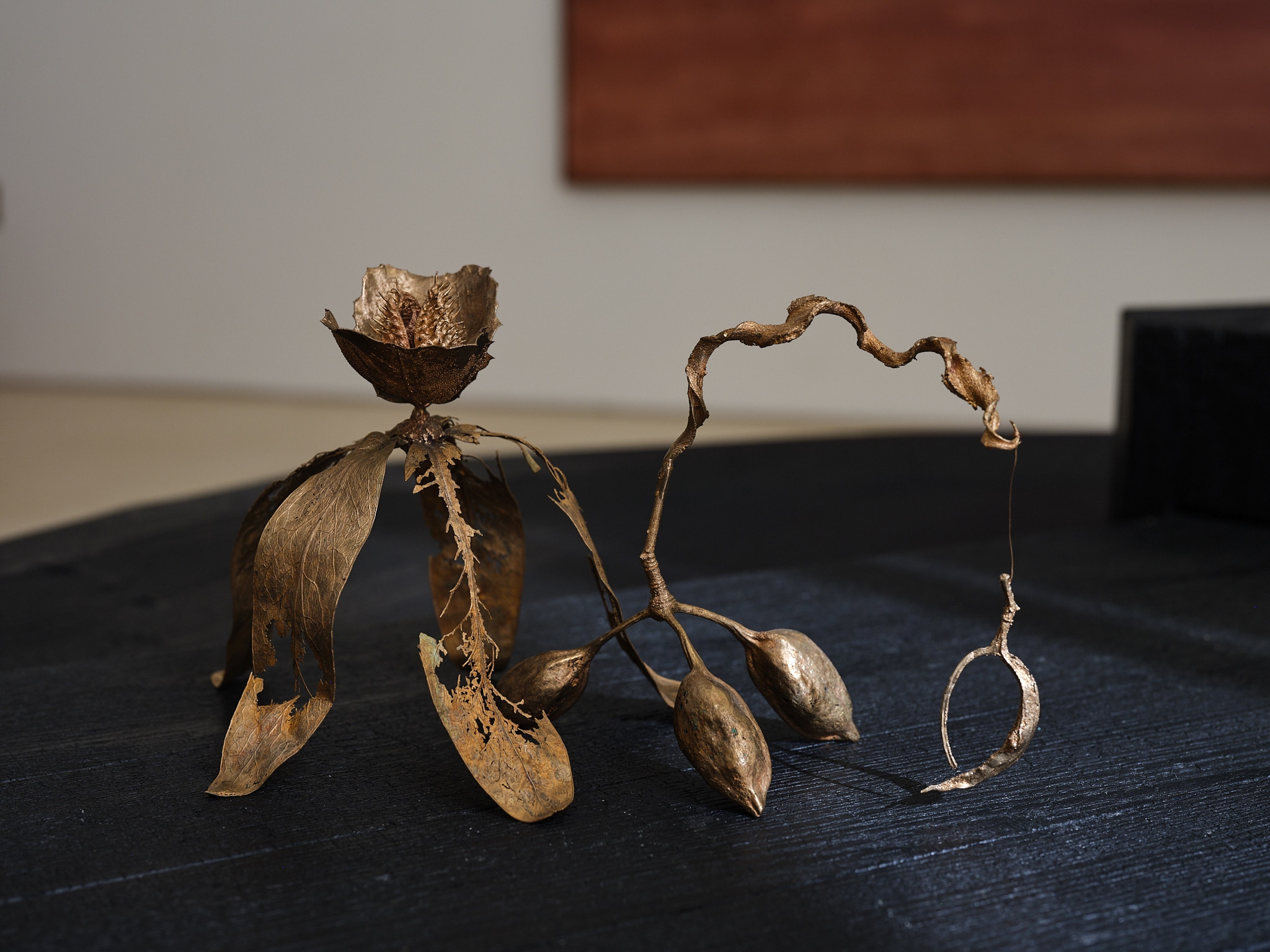 I live to overturn the imbalance