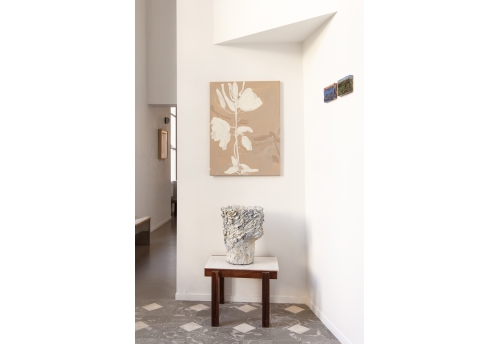 27/24 (Evening Primrose)