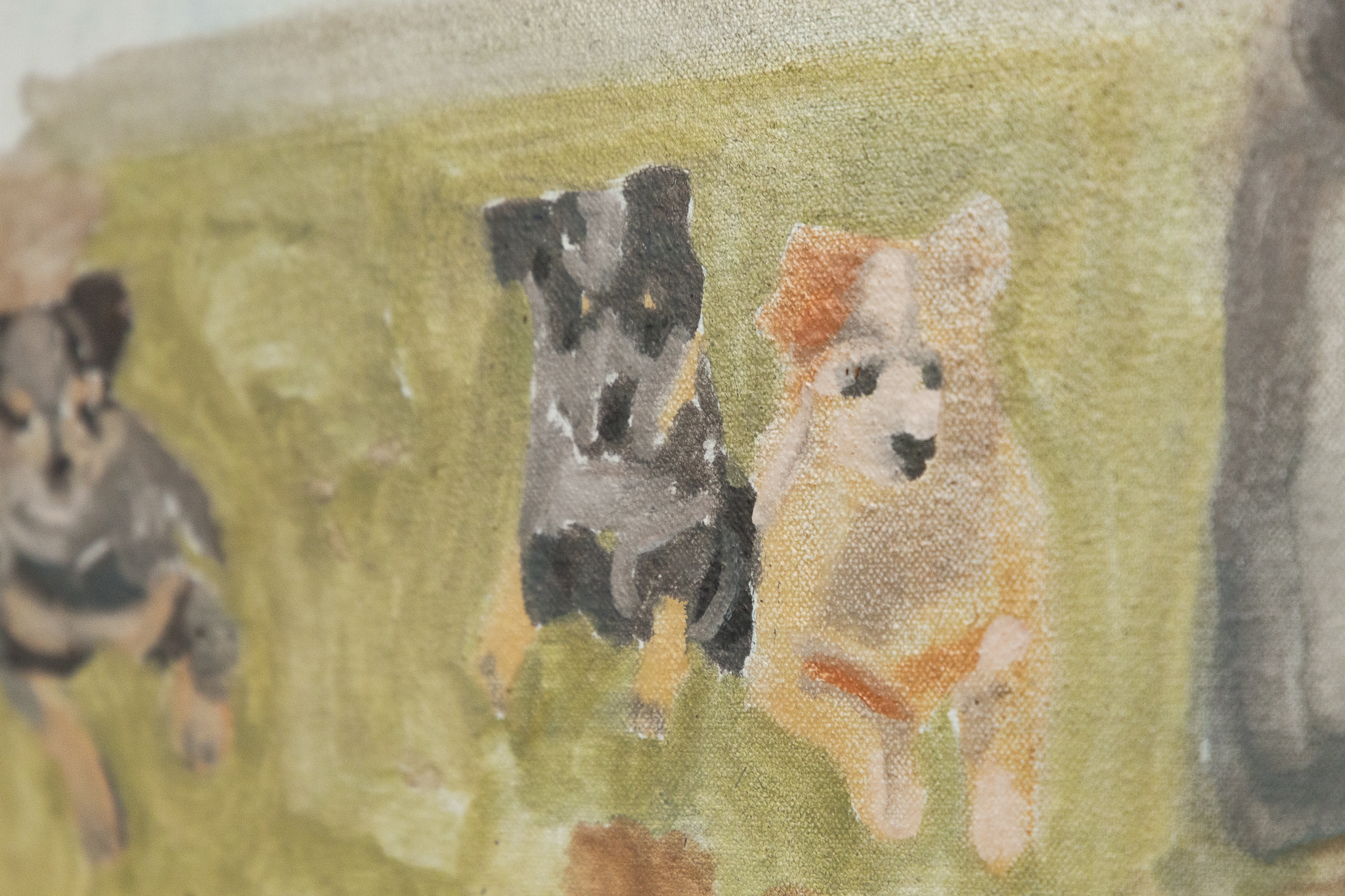 Baby blue heelers (Casey's litter)'