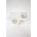 Bas relief