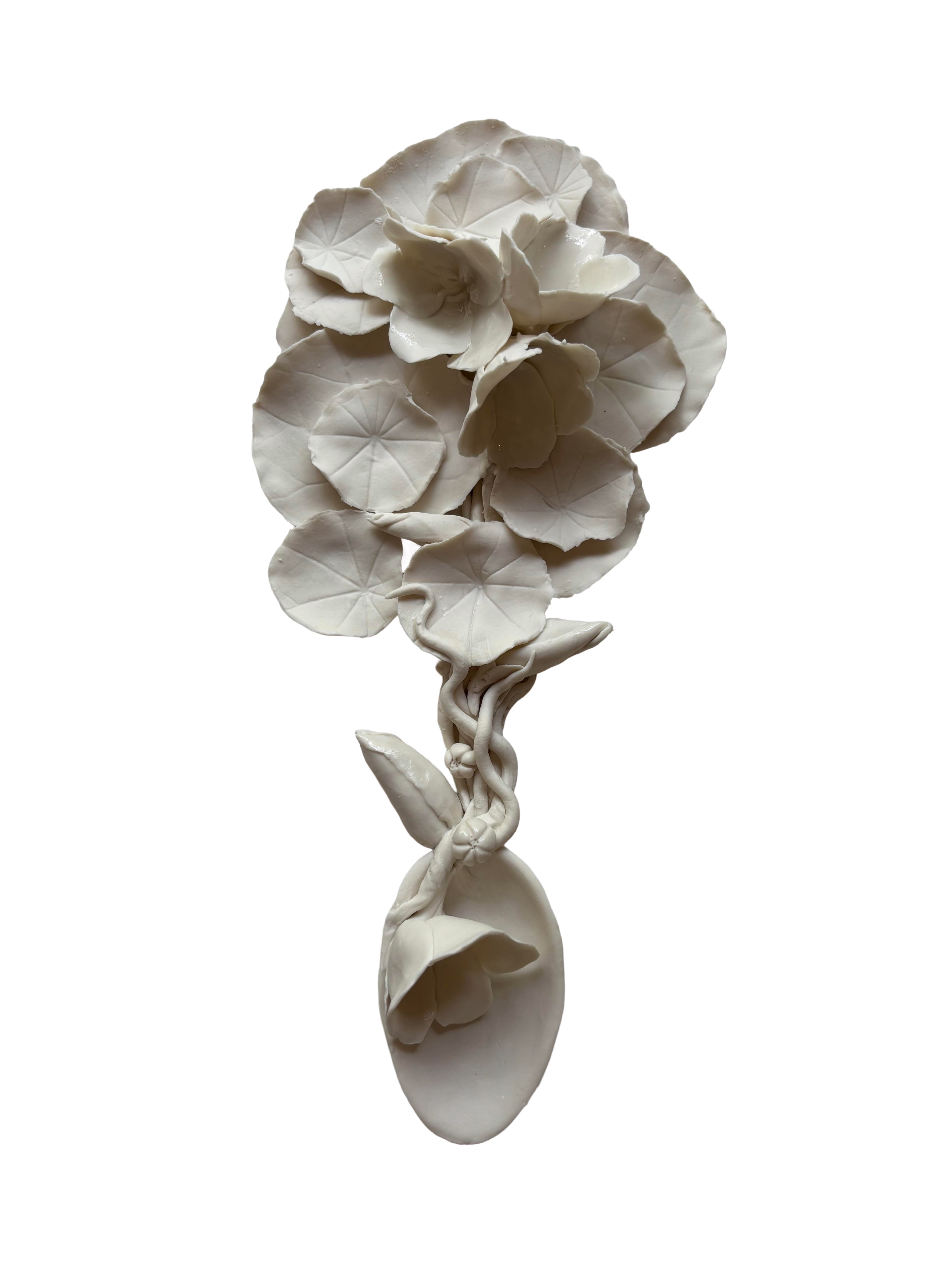 Cuillère capucine, hiver 2026