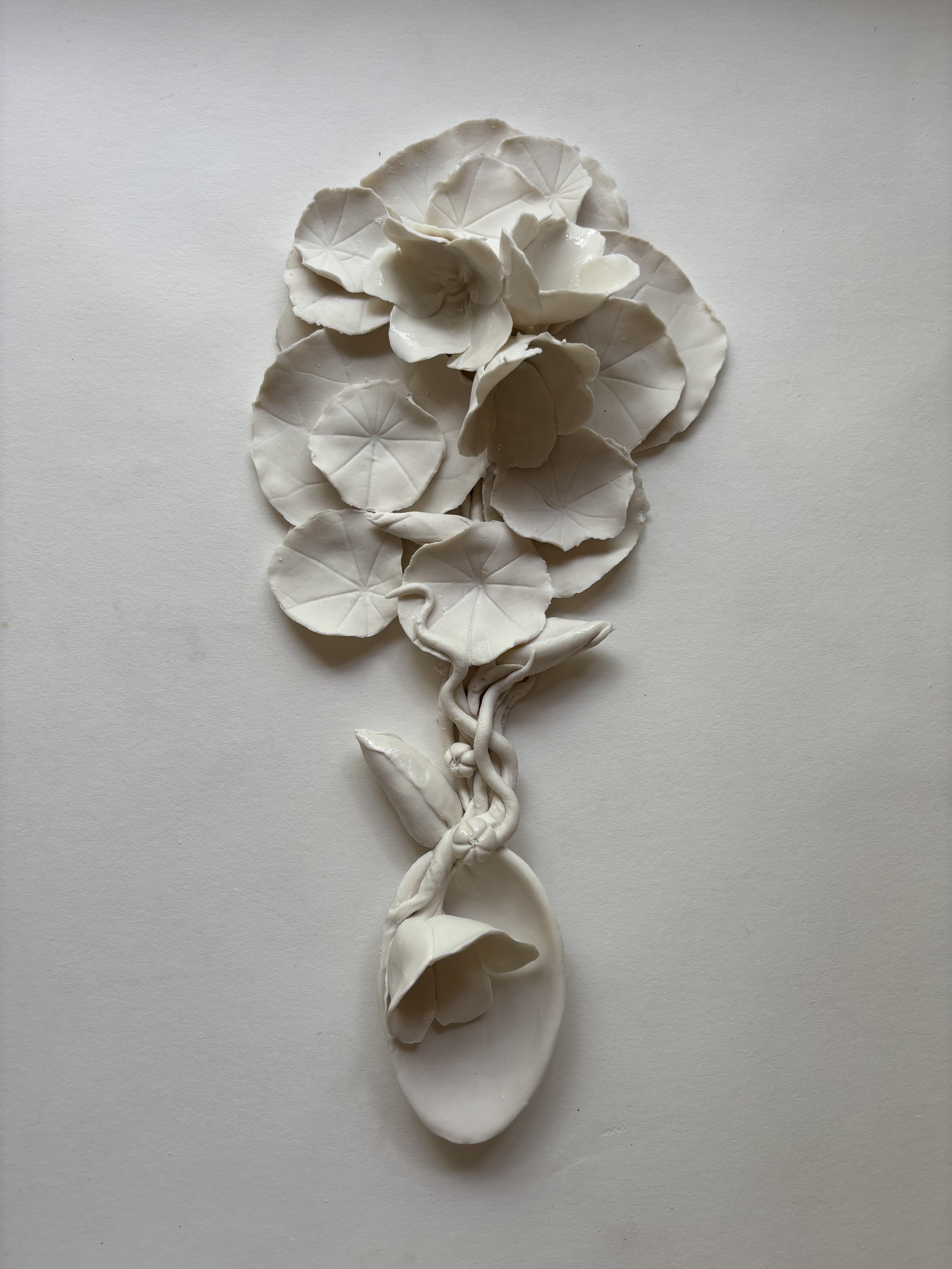 Cuillère capucine, hiver 2026