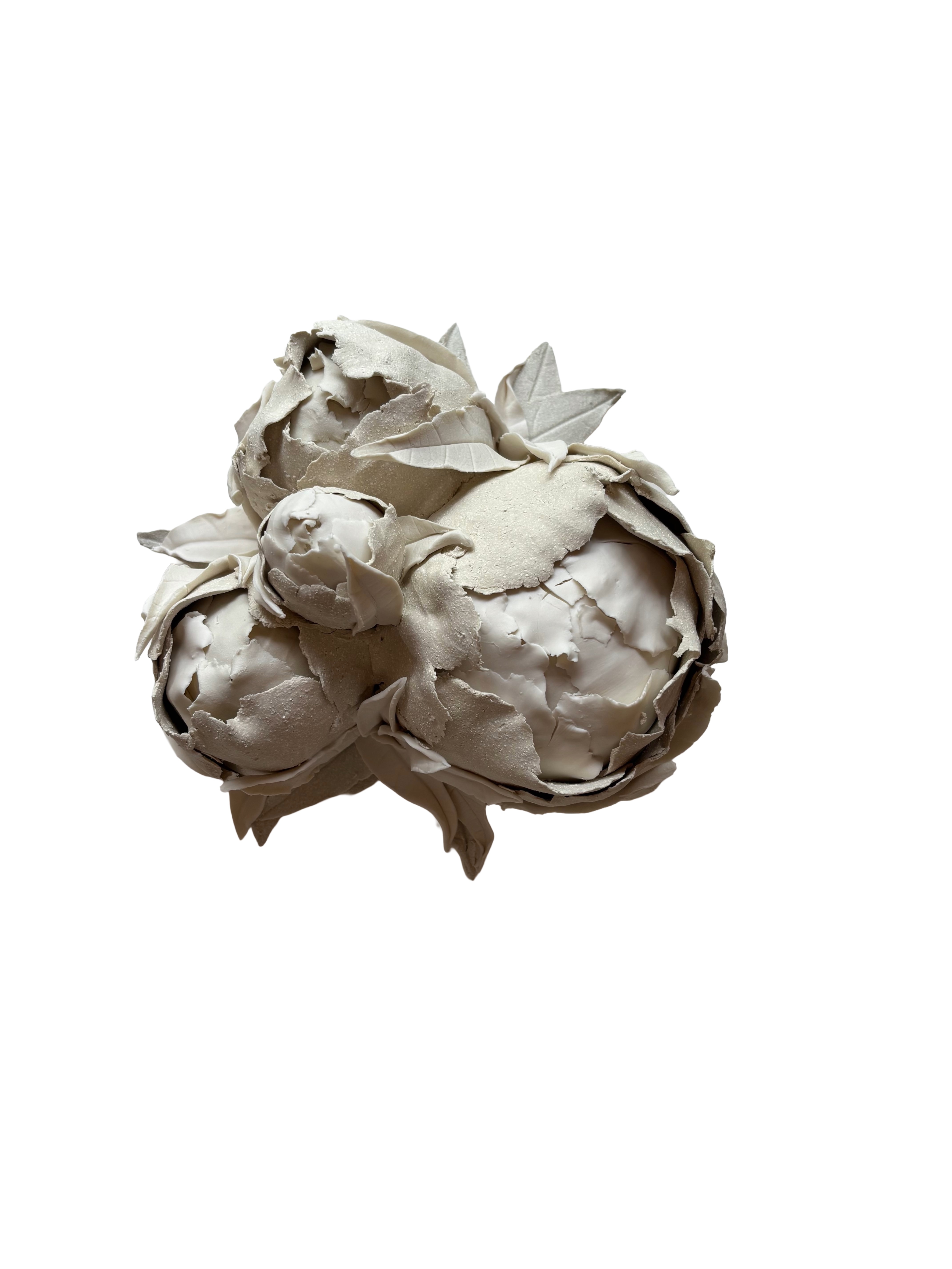 Les pivoines d'hiver