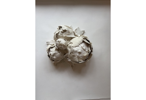 Les pivoines d'hiver