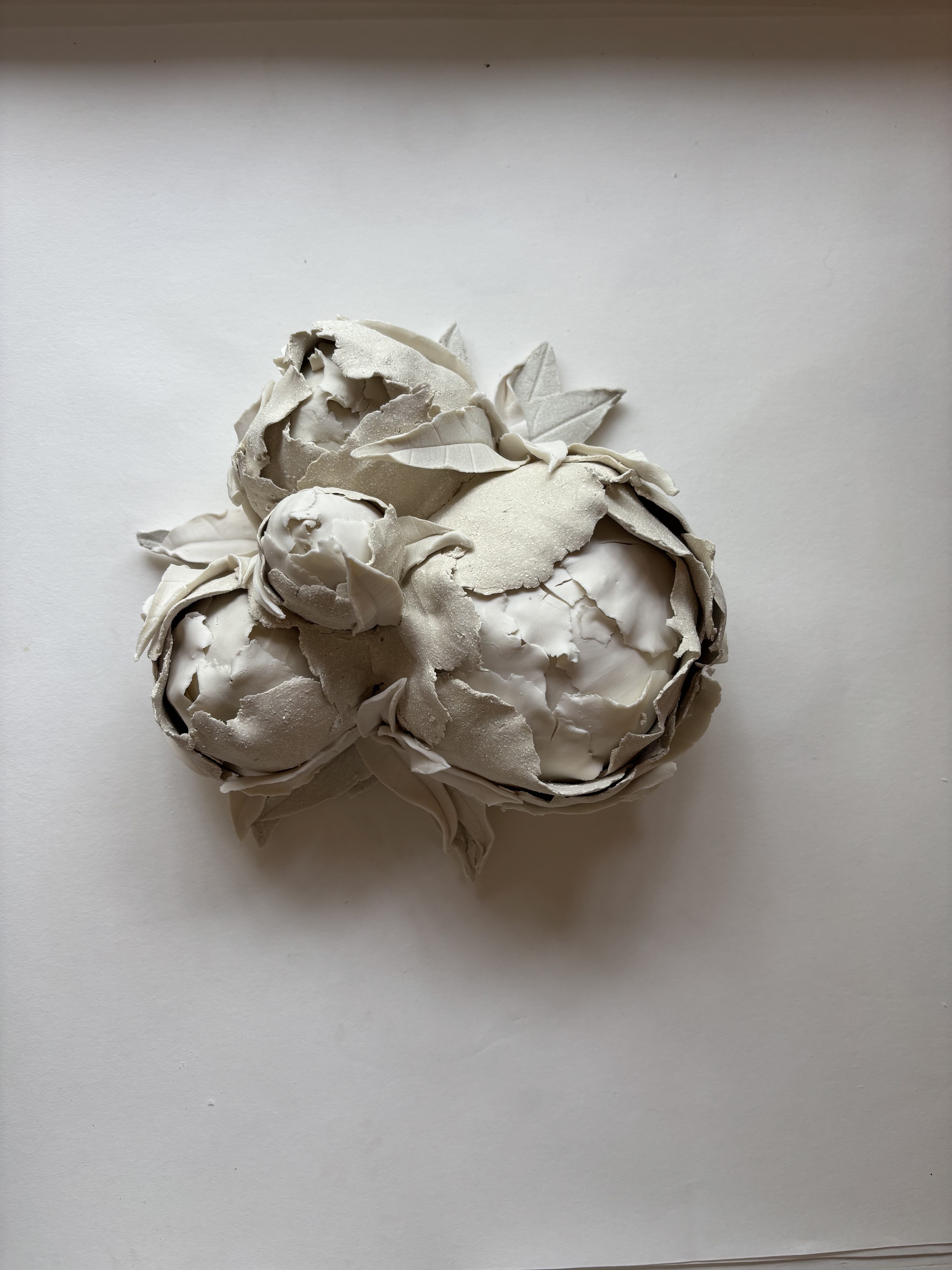 Les pivoines d'hiver