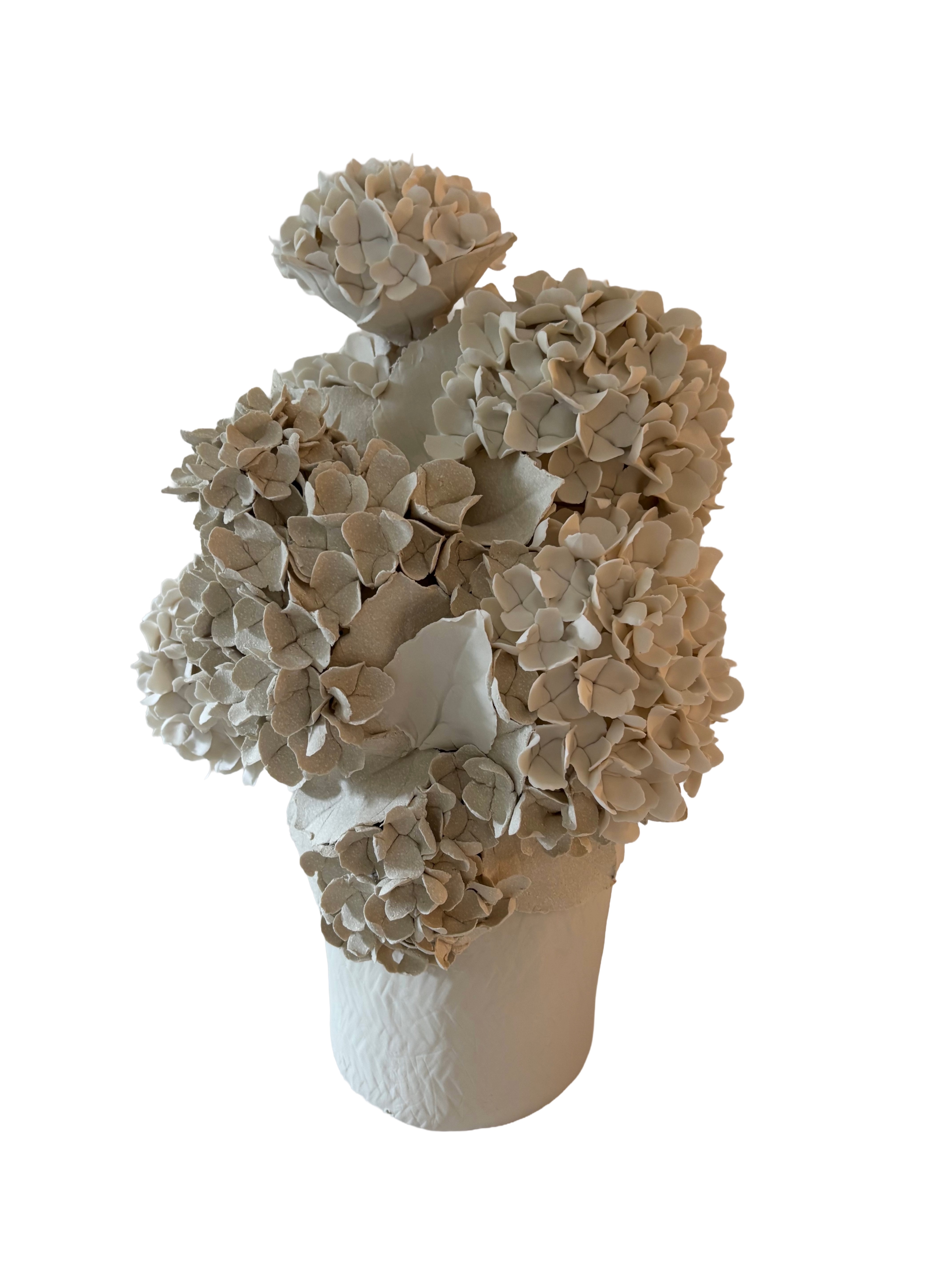 Vase d'hortensias