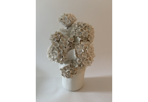 Vase d'hortensias