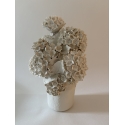 Vase d'hortensias
