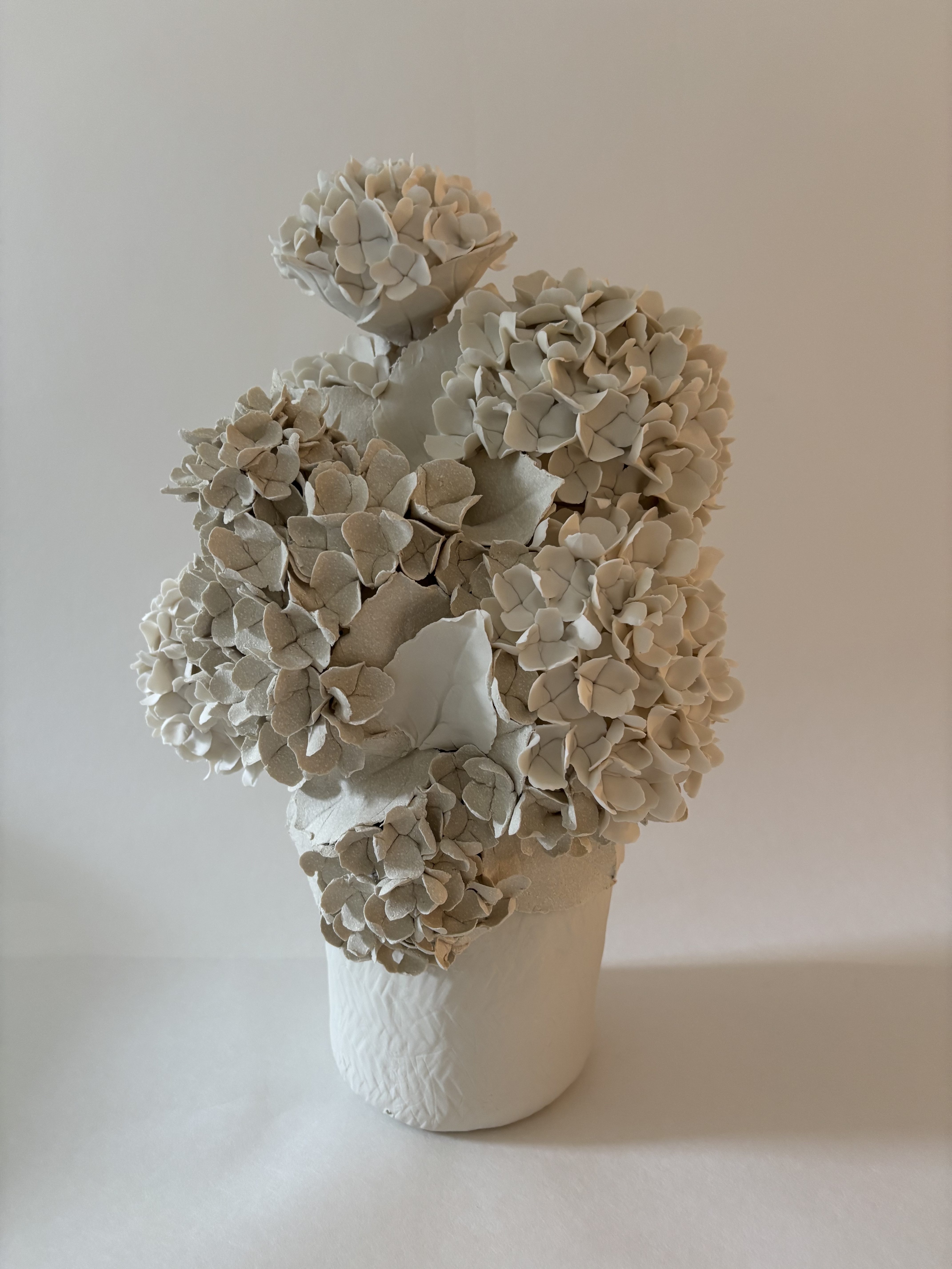 Vase d'hortensias