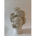 Vase d'hortensias