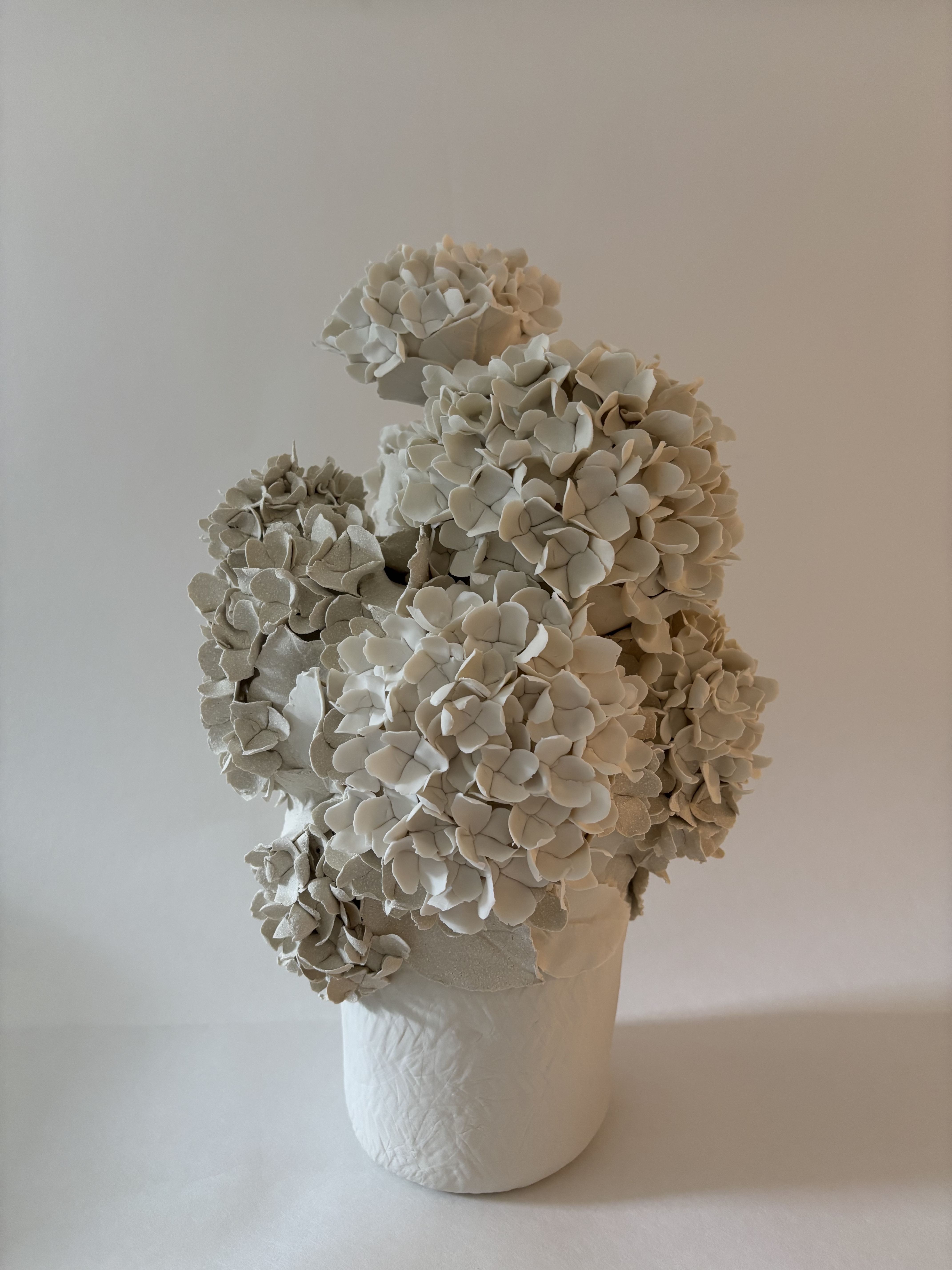 Vase d'hortensias