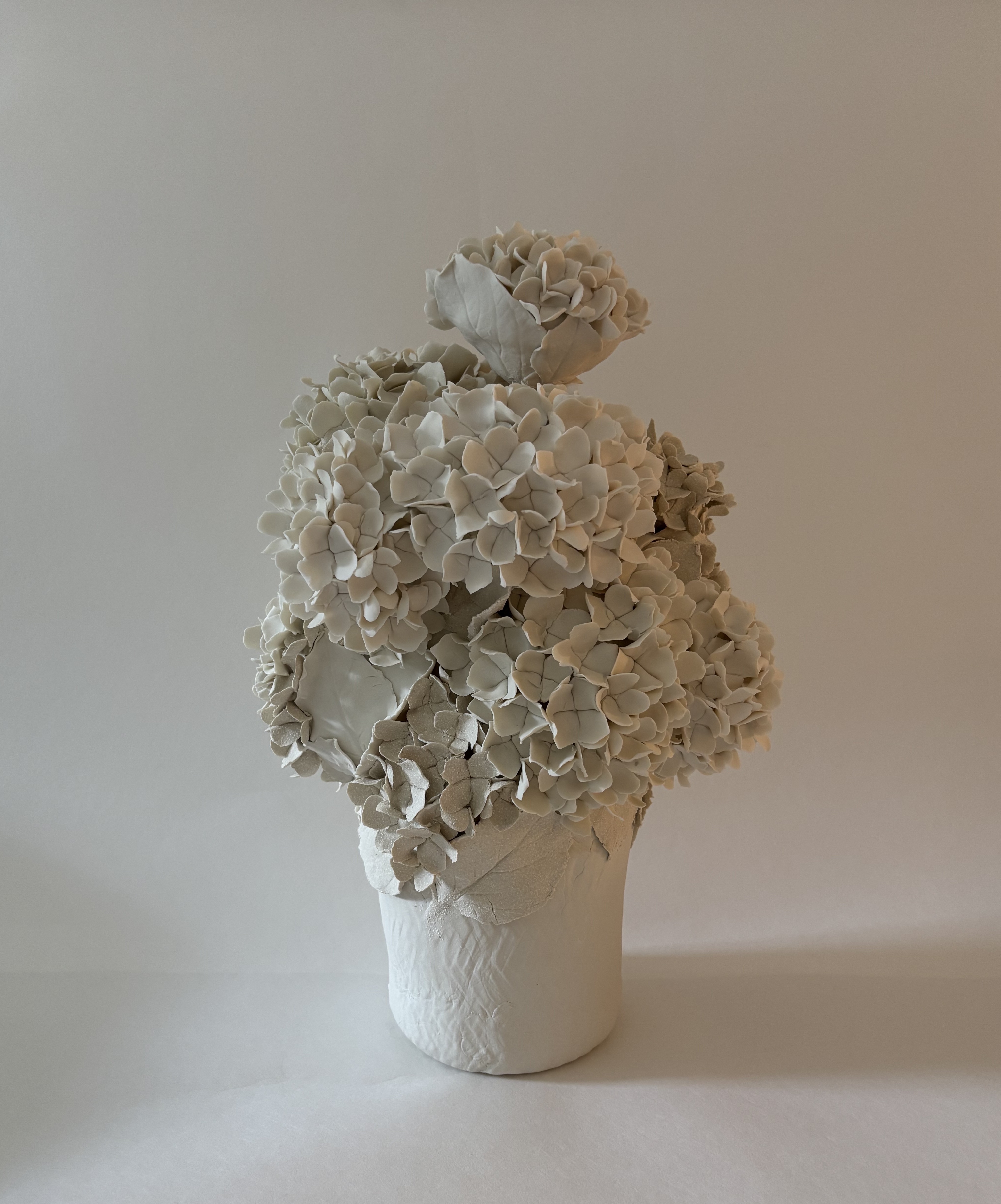 Vase d'hortensias
