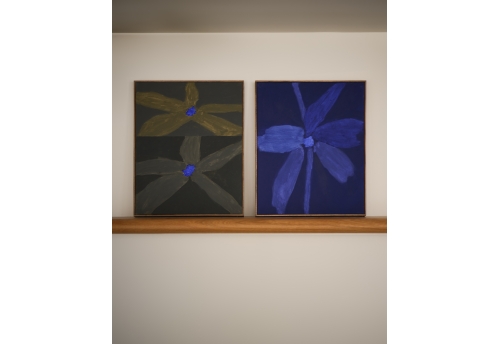 Bloom 09