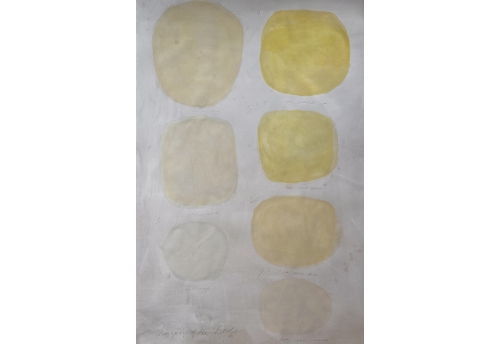 Language of the Birds - 1 yellow